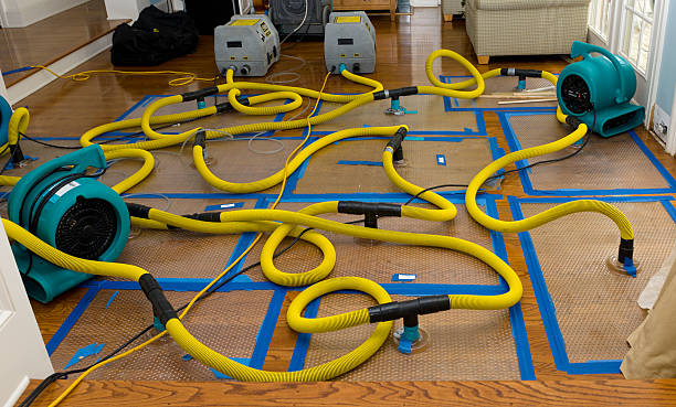 Professional Crawl Space Water Removal technician working in Littleton, MA